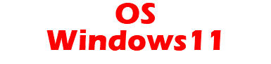 OS Windows11